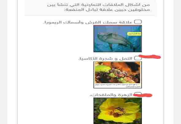 من أشكال العلاقات التعاونية التي تنشأ بين مخلوقين حيين علاقة تبادل المنفعة: