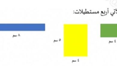 الشكل الآتي أربع مستطيلات أي الخيارات الآتية صحيحة