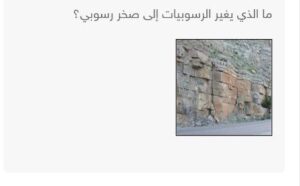 ما الذي يغير الرسوبيات إلى صخر رسوبي