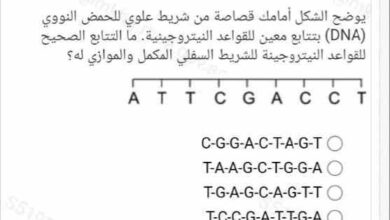 يوضح الشكل أمامك قصاصة من شريط علوي للحمض النووي (DNA) بتتابع معين للقواعد النيتروجينية