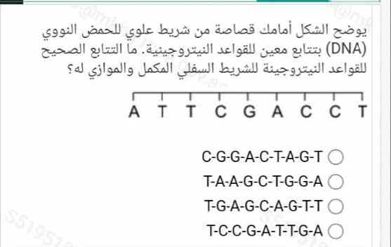 يوضح الشكل أمامك قصاصة من شريط علوي للحمض النووي (DNA) بتتابع معين للقواعد النيتروجينية