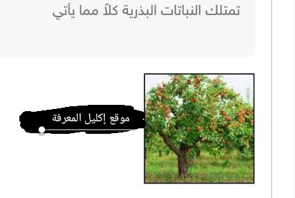 تمتلك النباتات البذرية كلا مما يأتي أشباه الجذور أنسجة وعائية جذورا أوراقاً