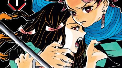 Demon Slayer: Kimetsu no Yaiba, Vol. 1 (1)