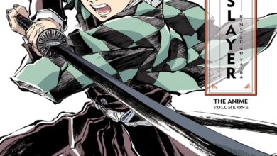 The Art of Demon Slayer: Kimetsu no Yaiba the Anime