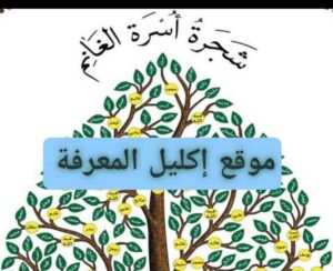 شجرة عائلة الغانم في الشيحية وش يرجعون أسرة الغانم