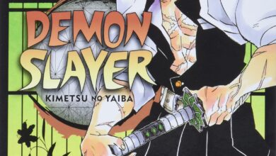 Demon Slayer: Kimetsu no Yaiba, Vol. 17 (17)