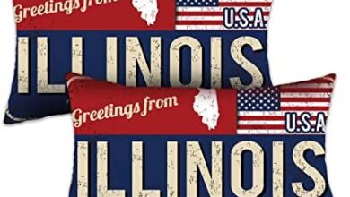 Doraloko Throw Pillow Cover 12x20 Set of 2, Illinois Decor Gift Souvenir, American Flag License Plate Lumbar Pillowcase, Greetings from The Land of Lincoln(IL, USA) - Cushion Case Sham, No Inserts