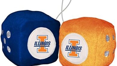 Fremont Die NCAA Illinois Automotive, One Size, Multicolor