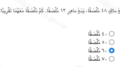 مع مالك ٤٨ ملصقا ومع ماهر ١٣ ملصقا كم ملصقا معهما تقريبا