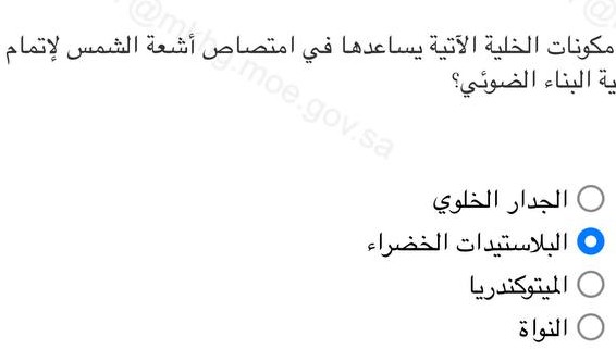 أي مكونات الخلية الآتية يساعدها في امتصاص أشعة الشمس لإتمام عملية البناء الضوئي