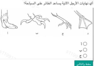 أي نهايات الأرجل الآتية يساعد الطائر على السباحة