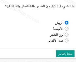 ما الشيء المشترك بين الطيور والخفافيش والفراشات