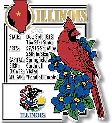 Illinois State Montage Magnet by Classic Magnets, 2.9" x 3.4", Collectible Souvenirs Made in The USA