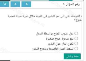 ما المرحلة التي تلي نمو البذور في التربة خلال دورة حياة شجرة الخوخ؟ 