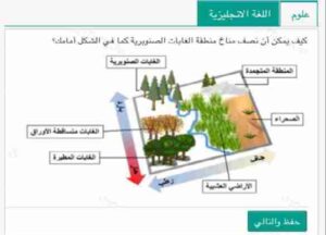 كيف يمكن أن تصف مناخ منطقة الغابات الصنوبرية كما في الشكل أمامك؟