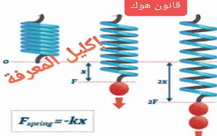 من قانون هوك وحدة ثابت النابض