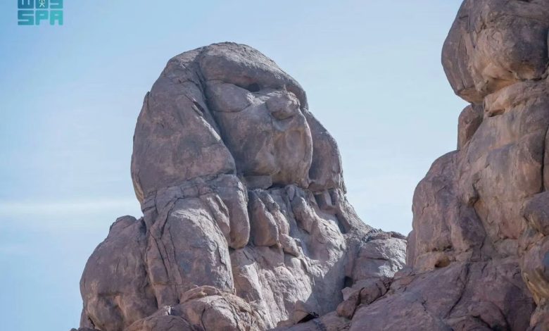 🏔️ في قلب صحراء حائل
 جبل أبو الهول ..
 منظر فريد شكلته الطبيعة 🇸🇦
 معلم أثري ضمن سلسلة جبال أجا في قرية أبا الحير